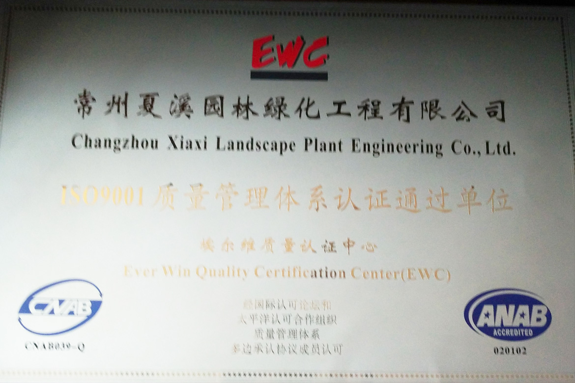 ISO9001����������ϵ��֤